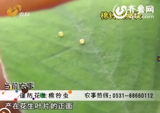 按此在新窗口瀏覽圖片
