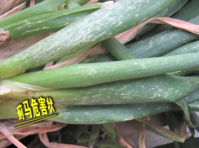 按此在新窗口瀏覽圖片