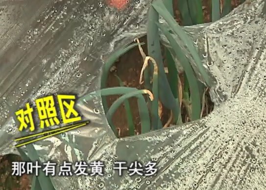 按此在新窗口瀏覽圖片