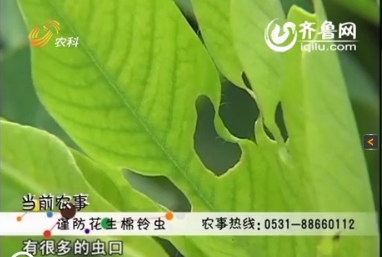 按此在新窗口瀏覽圖片