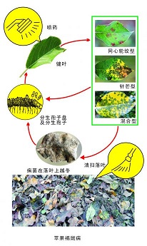 按此在新窗口瀏覽圖片