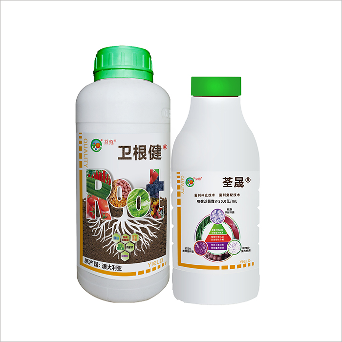 衛(wèi)根健組合 ▏保衛(wèi)根部健康 全面激活根活力
